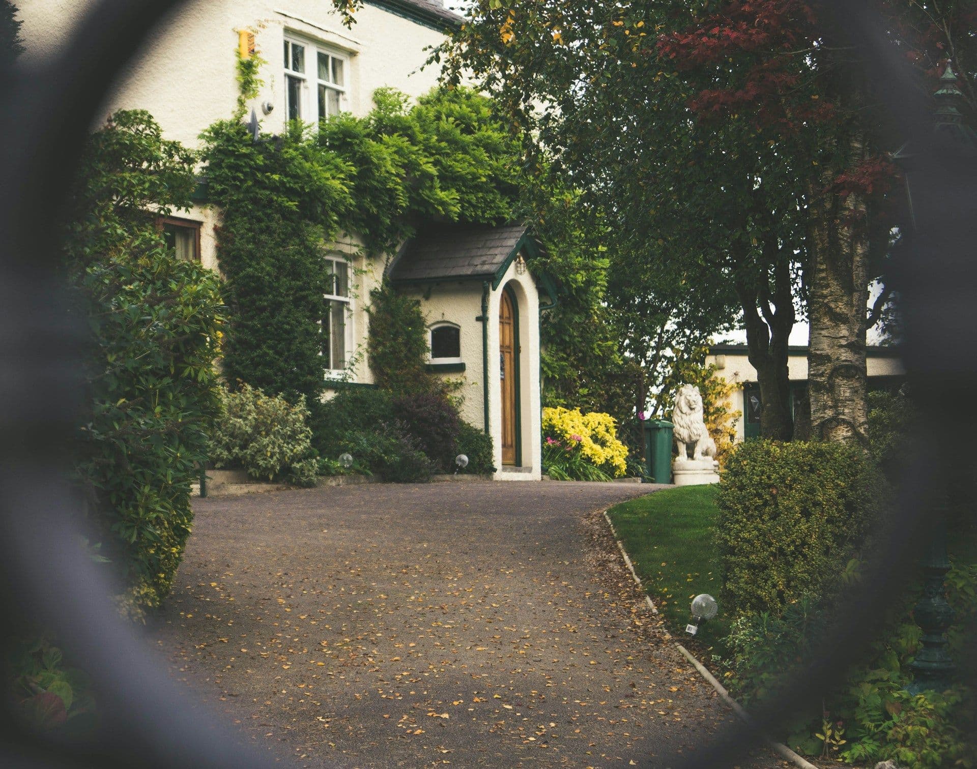Featured image